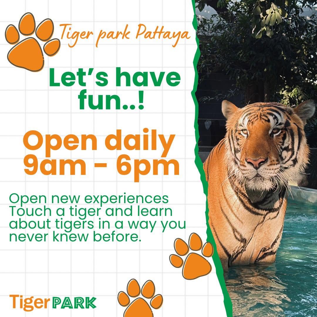 tiger park pattaya สวนเสือพัทยา