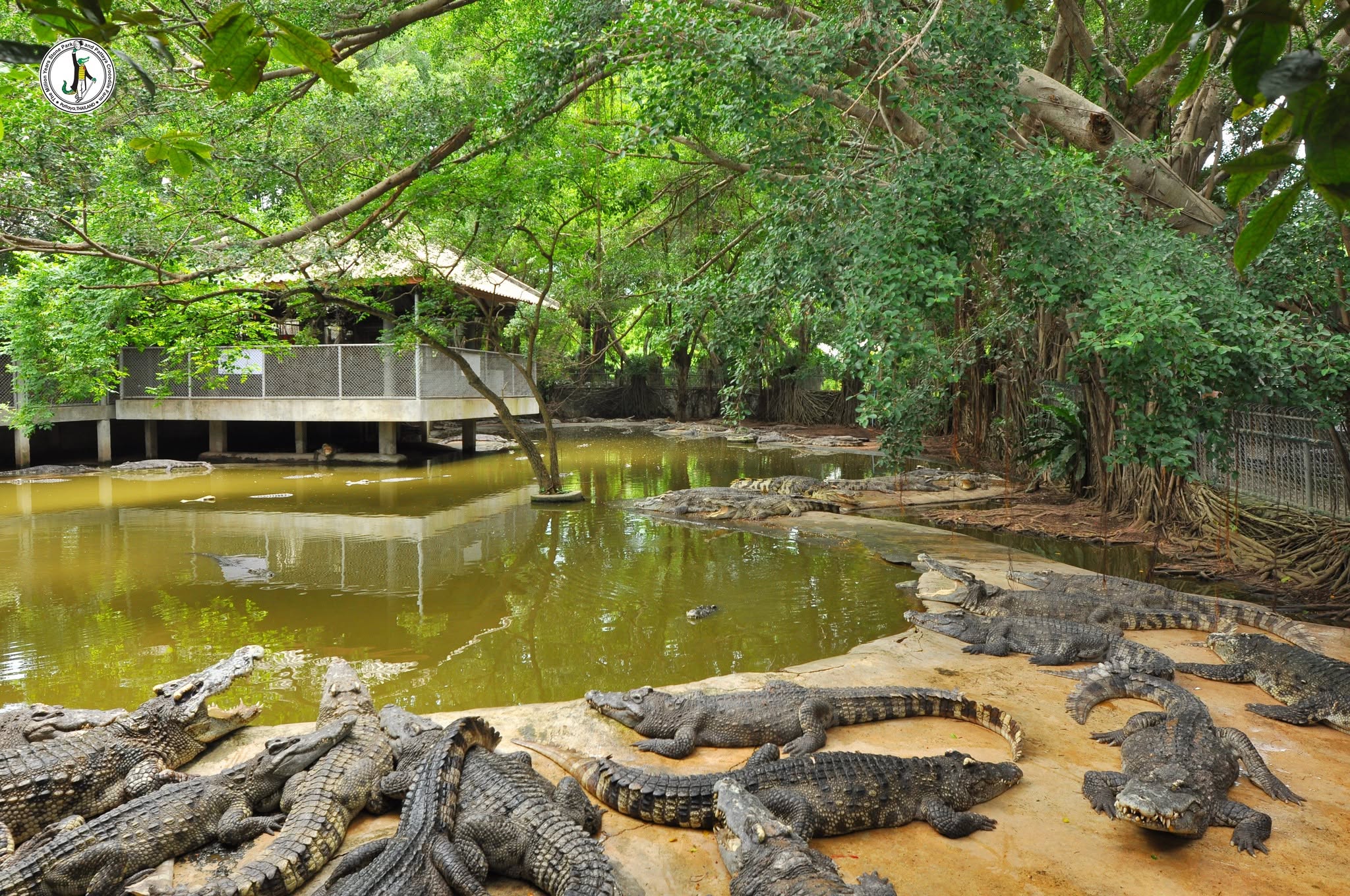 อุทยานหินล้านปีและฟาร์มจระเข้พัทยา