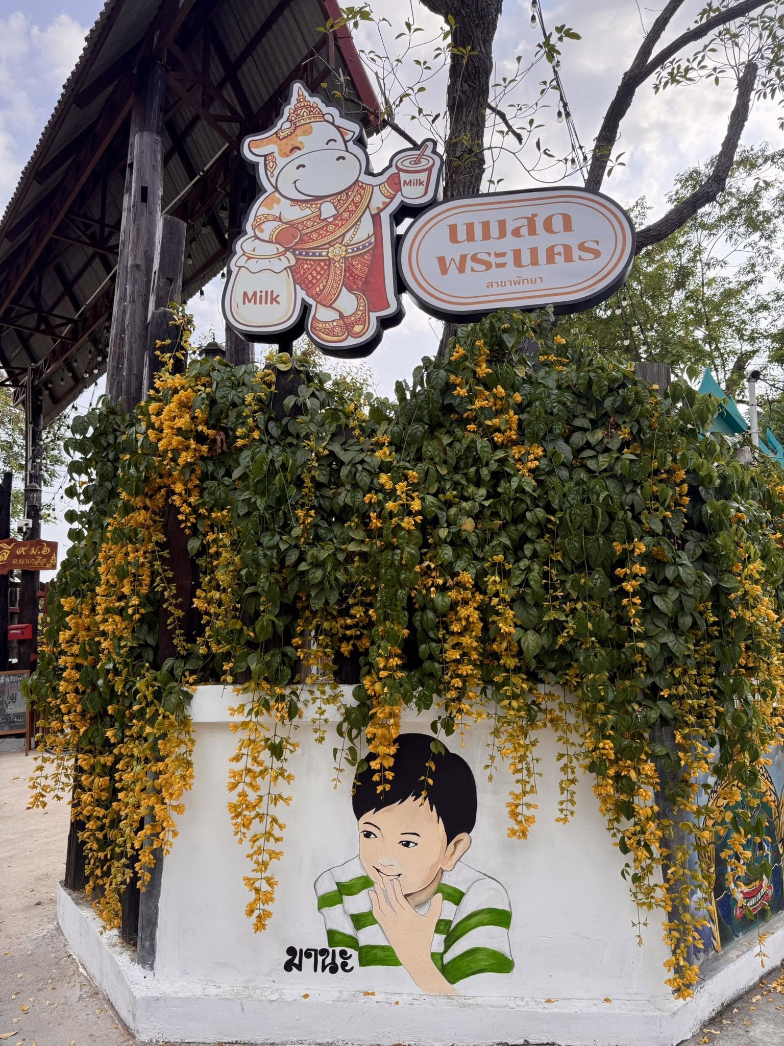 นมสดพระนครพัทยา