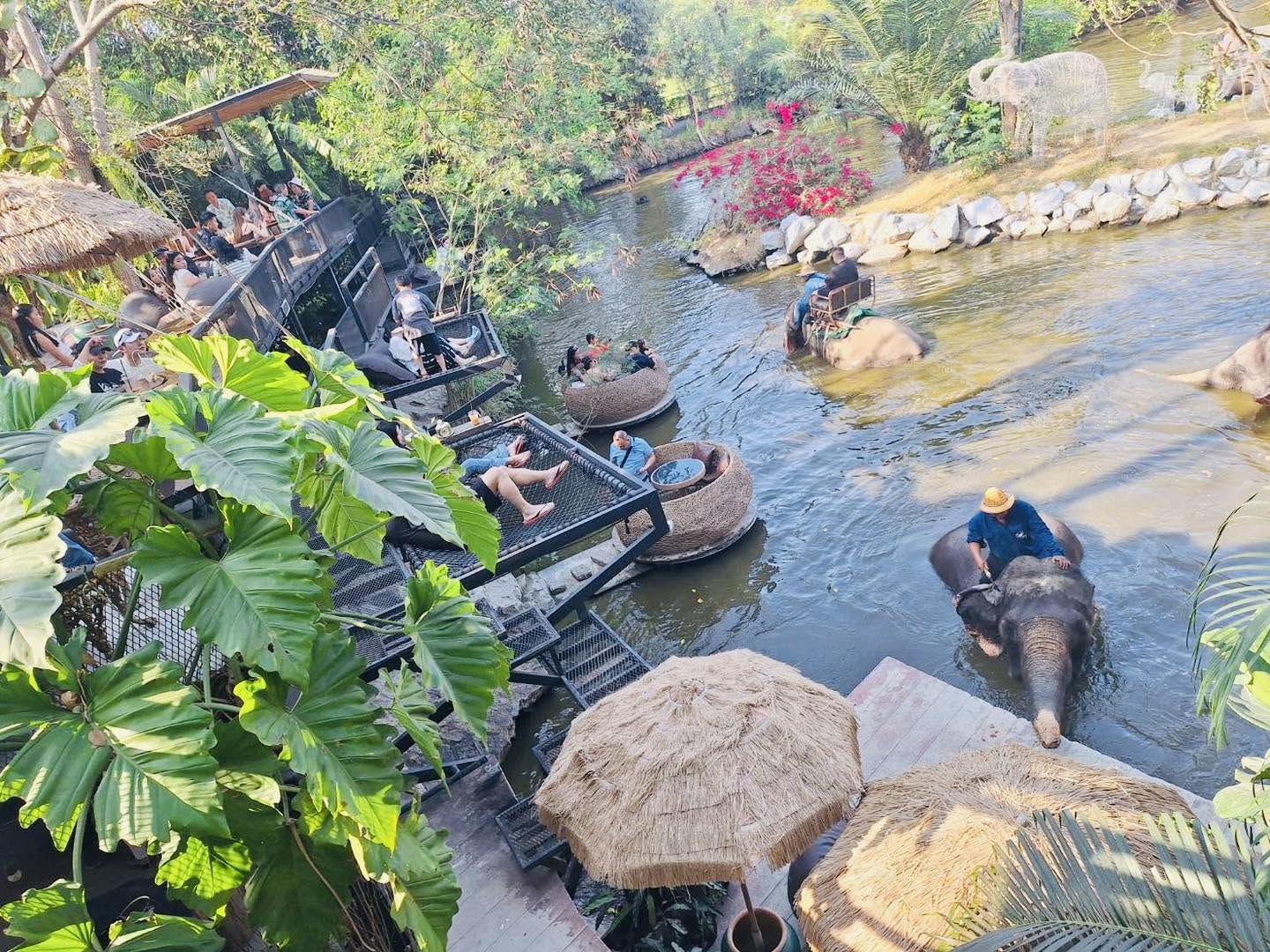 มองช้างคาเฟ่